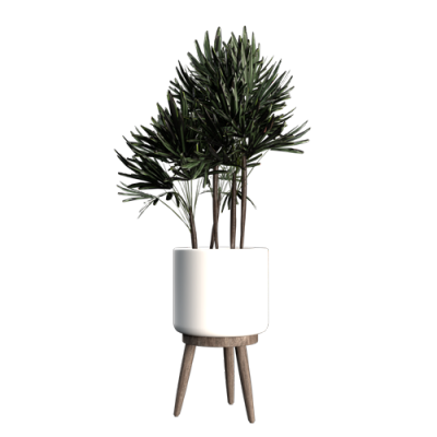 植物盆栽植物装饰现代植物花瓶 ID：E02203146