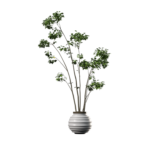 绿植盆栽绿植摆件 ID：E02203165