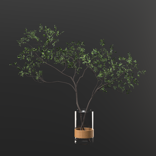 绿植摆件绿植花瓶绿植装饰 ID：E02203170