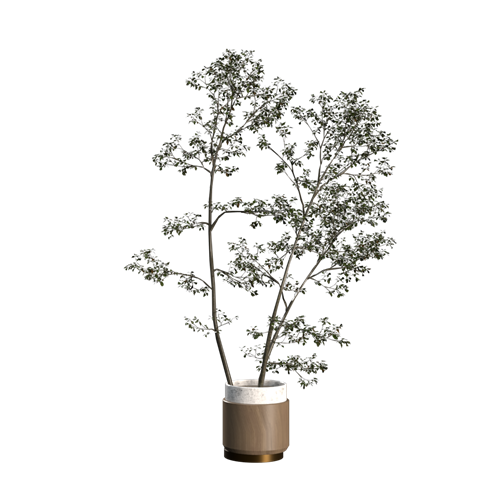 绿植摆件绿植花瓶绿植装饰 ID：E02203188