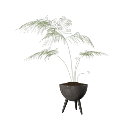 植物 ID：E02203307