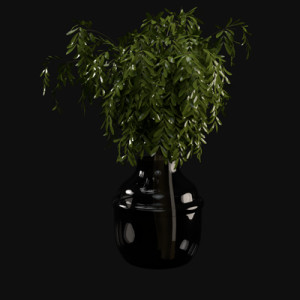 植物装饰玻璃花瓶ID：E099S0052
