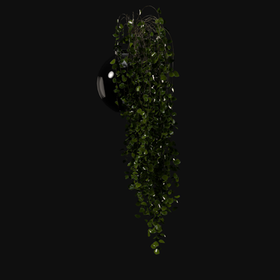 植物装饰玻璃花瓶ID：E099S0053