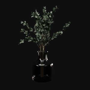 植物装饰玻璃花瓶ID：E099S0055