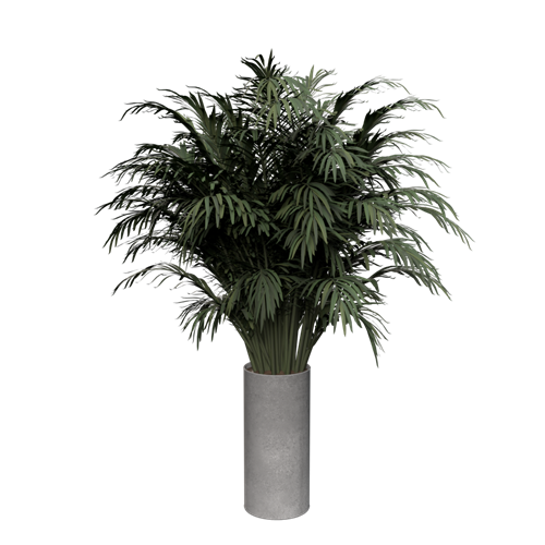 植物盆栽绿植摆件绿植盆栽绿植装饰品植物摆件植物装饰品 ID：E099S0088