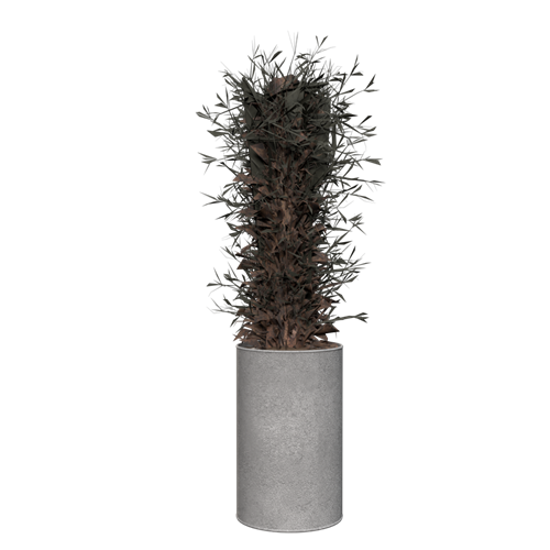 植物盆栽绿植摆件绿植盆栽绿植装饰品植物摆件植物装饰品 ID：E099S0091