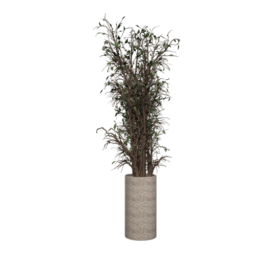 植物盆栽绿植摆件绿植盆栽绿植装饰品植物摆件植物装饰品 ID：E099S0092