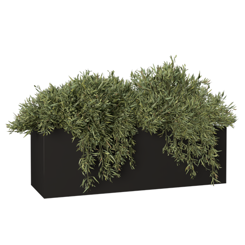 植物盆栽绿植盆栽现代花草盆栽 ID：E099S0134