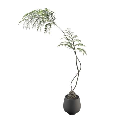 植物摆件植物盆栽绿植盆栽 ID：E099S0224