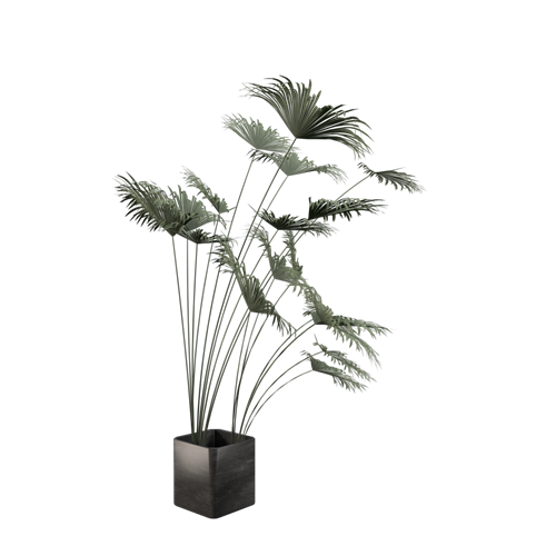 绿植盆栽绿植摆件 ID：E099S0316